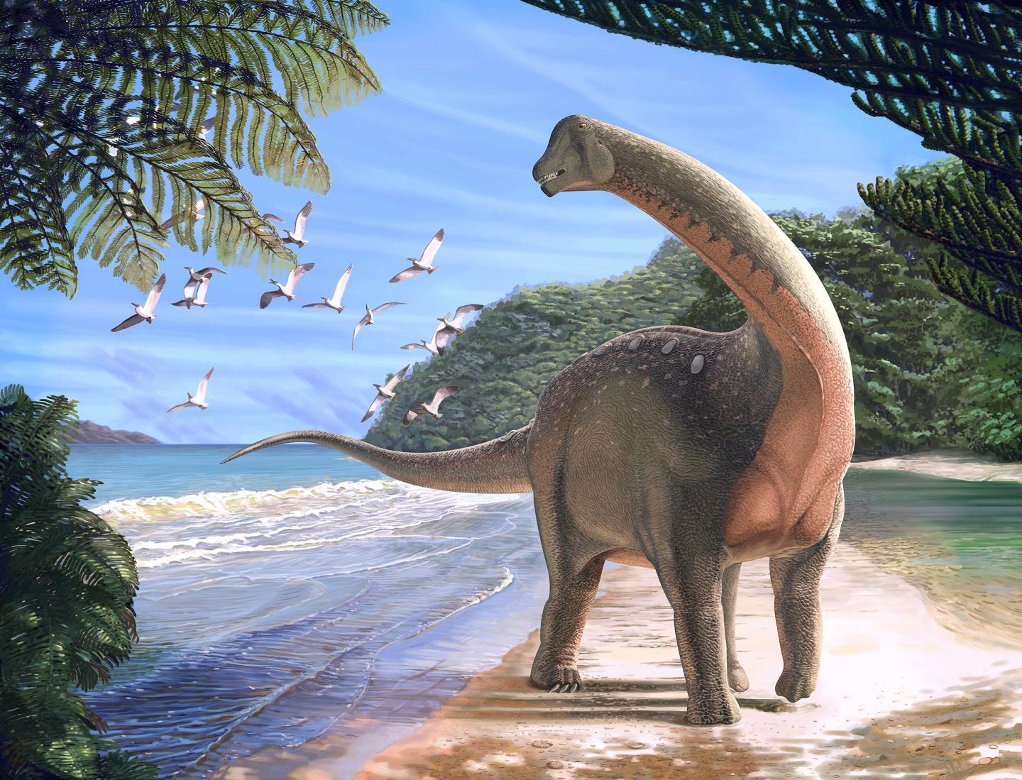 Mansourasaurus shahinae: A new dinosaur from Egypt sheds light on the evolution and biogeography of African dinosaurs