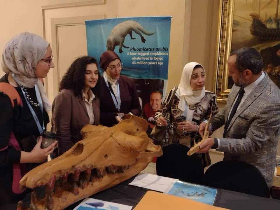  Sallam Lab team participated in the Medical Conference on Organ Transplantation
