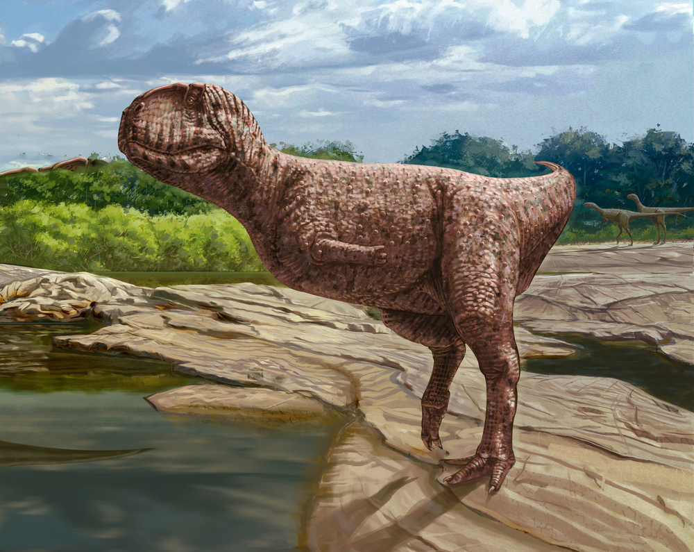 Massive bulldog-faced dinosaur was like a T. rex on steroids