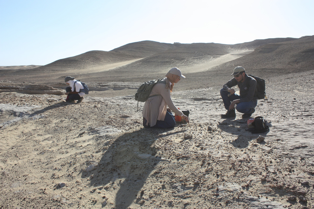 Bahariya_1_1.jpg