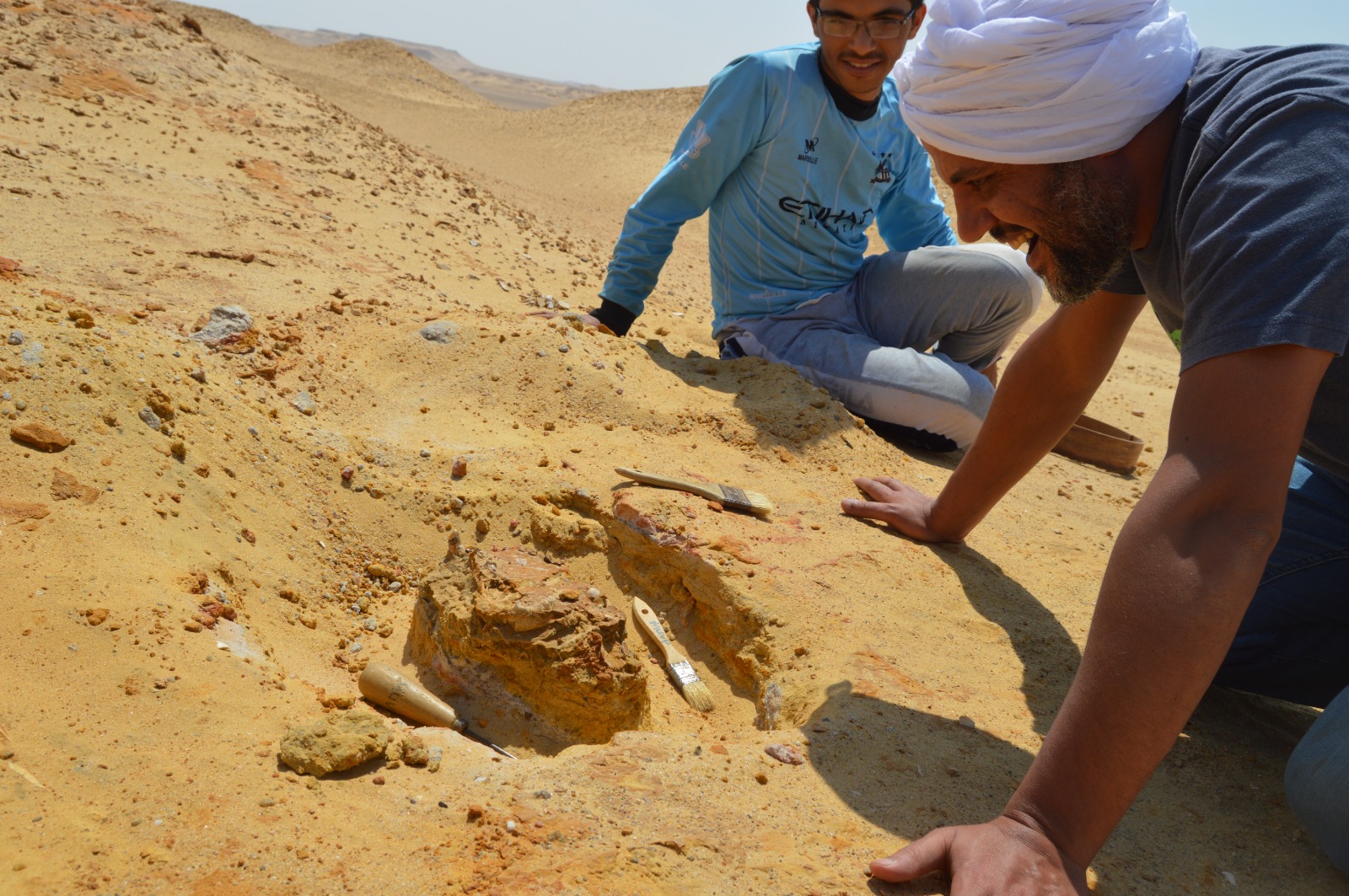 Ancient king of the Fayum forest revealed