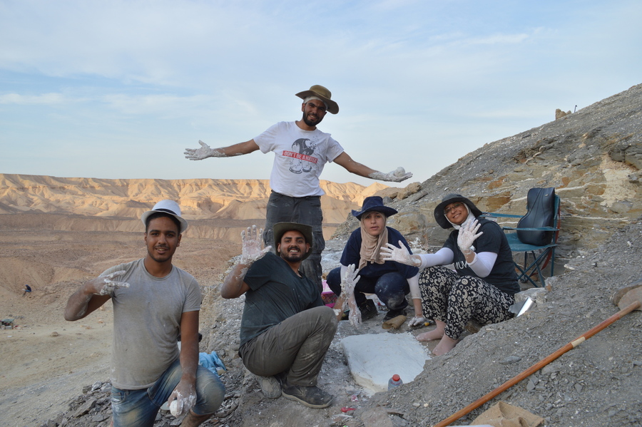 Danian Vertebrates from Egypt
