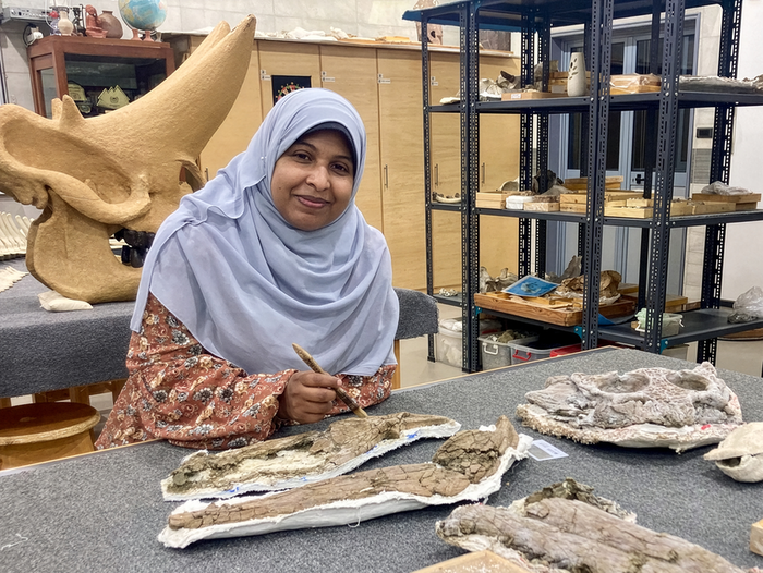 Ancient Crocodile Fossil from Egyptian Desert Rewrites One of Earth's Greatest Survival Stories