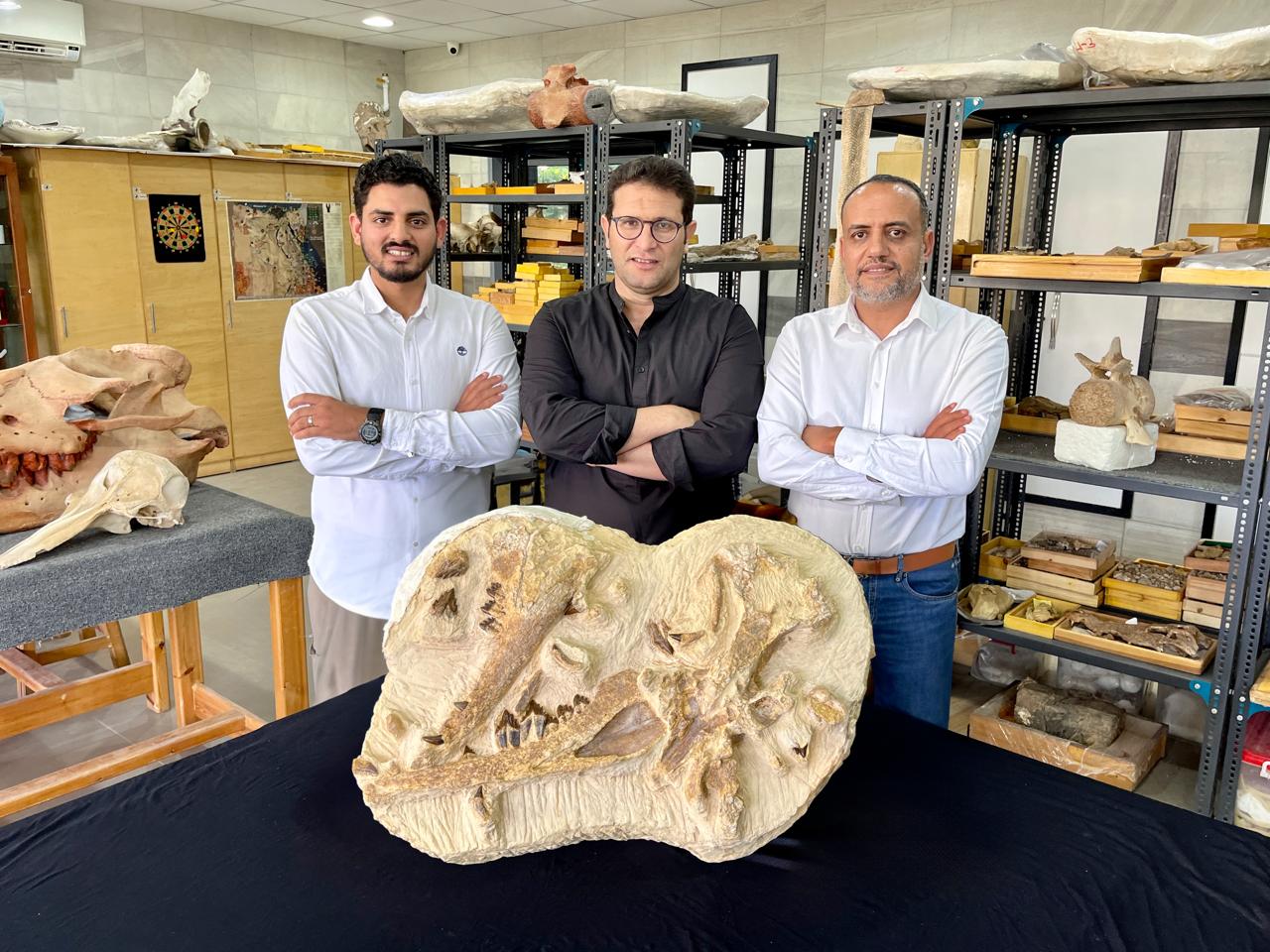 This tiny, 8-foot long whale swam off Egypt’s coast 41 million years ago