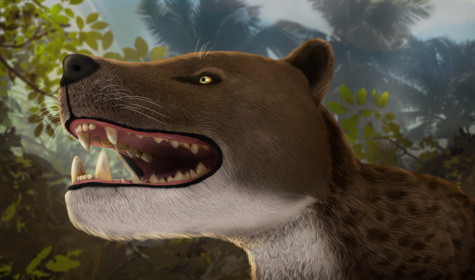 Bastetodon syrtos: A new apex predator from Egypt sheds light on the evolution of African carnivorous mammals