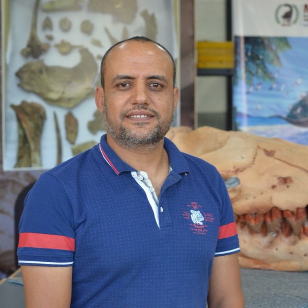 Prof. Hesham Sallam