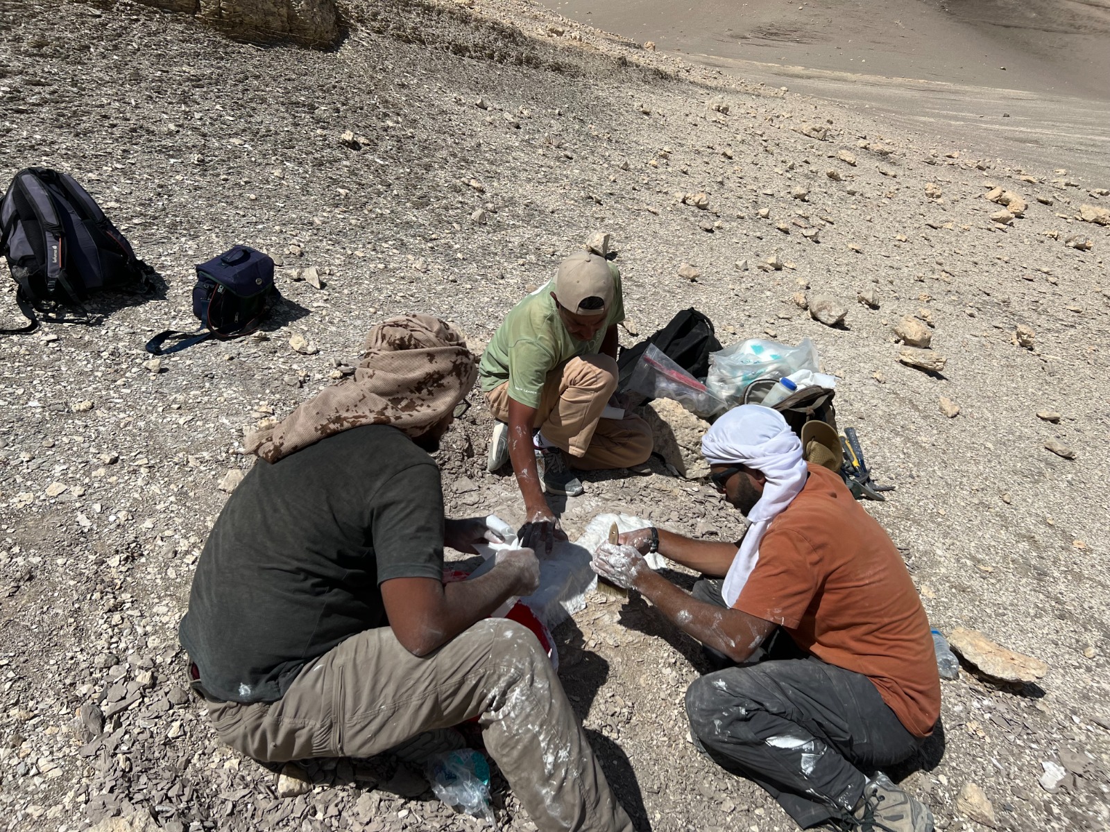 Cenomnian vertebrates from the Bahariya oasis of the Western Desert of Egypt