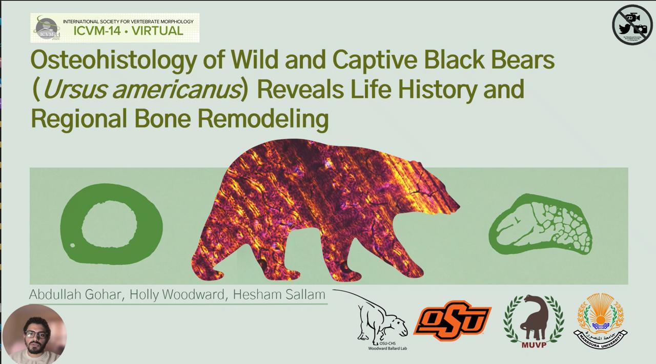 Dr. Abdullah Gohar gave an oral presentation titled ‘Osteohistology of Wild and Captive Black Bears (Ursus americanus) Reveals Life History and Regional Bone Remodeling