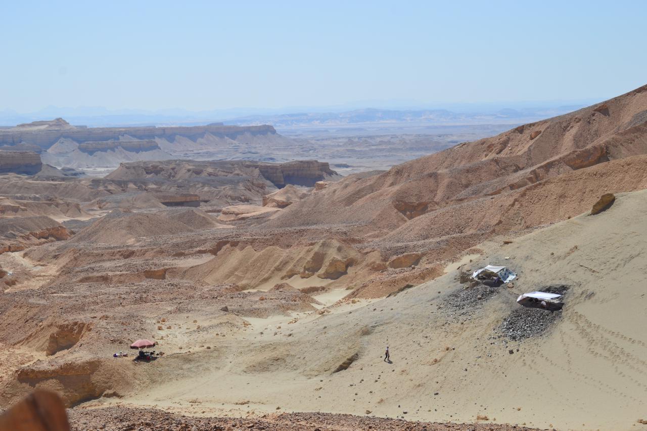 62-Million-Year-Old Egyptian Fossil Site Reveals the Early Rise of Modern Fish, Soon After the Dinosaur Extinction