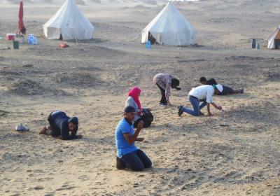 Adobe Express File 4