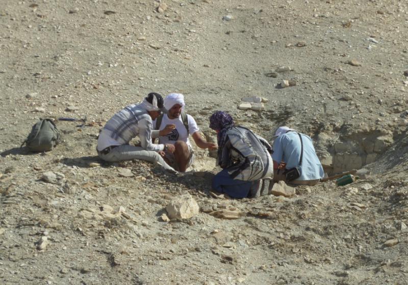 Adobe Express File 10