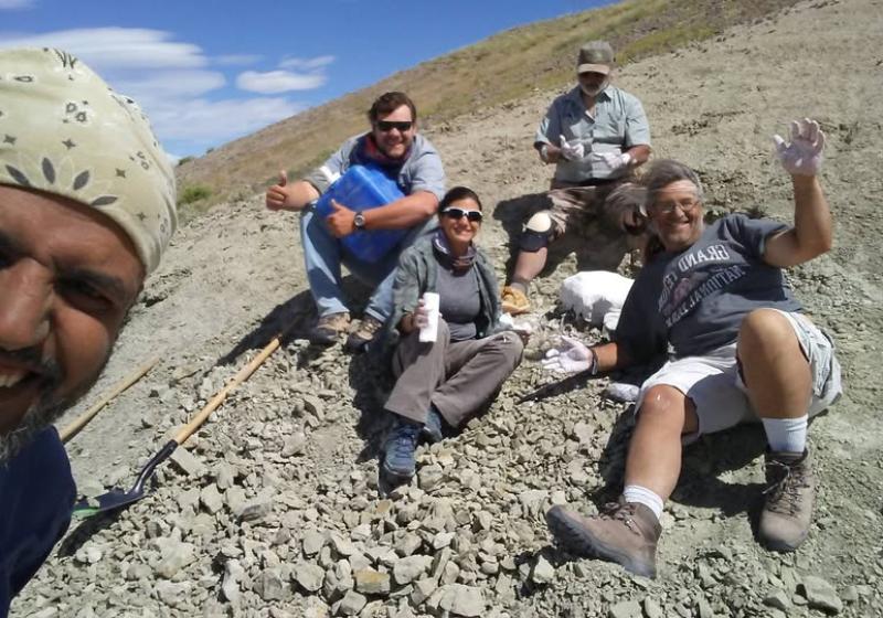 Western American Desert Jan 2017