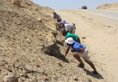 Wadi Al Hitan Nov 20172