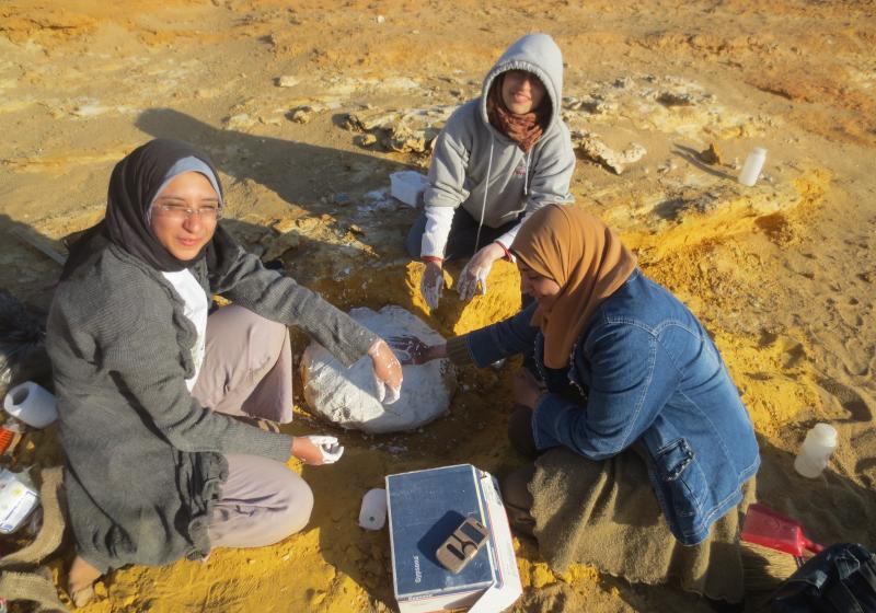 Whatsapp Image 2025 09 23 At 3.52.40 Pm