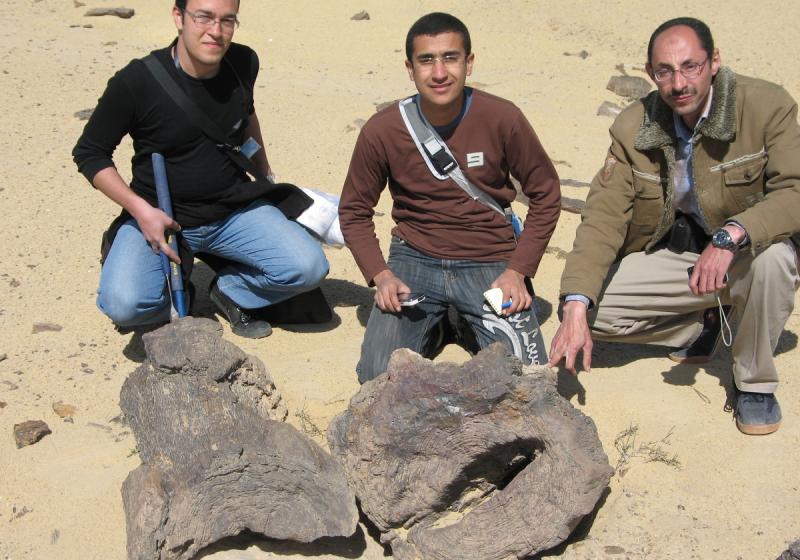 Whatsapp Image 2025 10 08 At 8.02.09 Pm 2