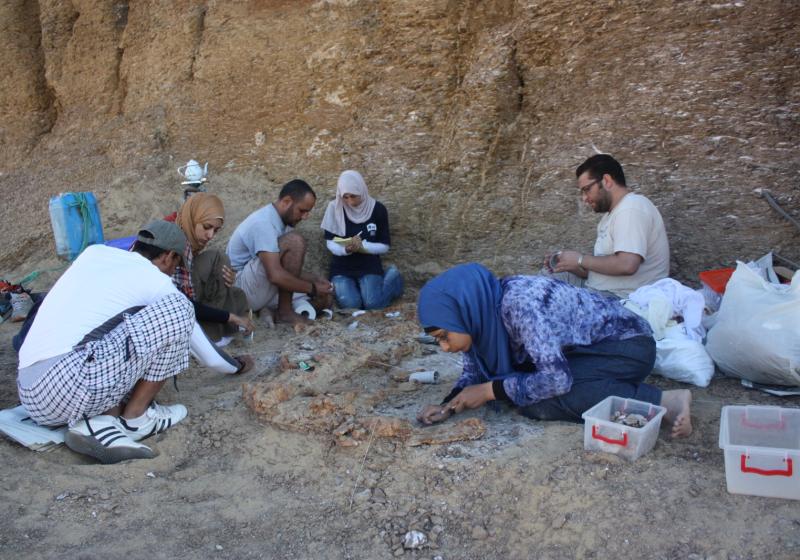 Whatsapp Image 2025 10 08 At 8.03.04 Pm