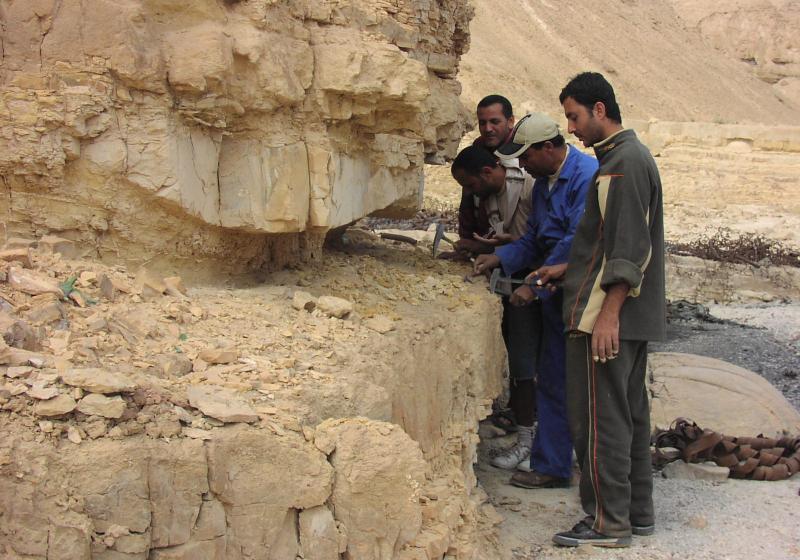 Whatsapp Image 2025 10 08 At 8.07.34 Pm