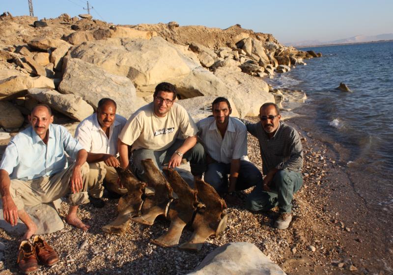 Whatsapp Image 2025 10 08 At 8.07.51 Pm