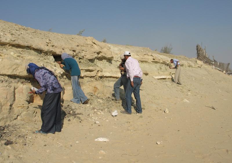 Whatsapp Image 2025 10 08 At 8.10.30 Pm