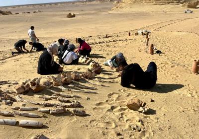 Wadi El-Hitan Nov-2025