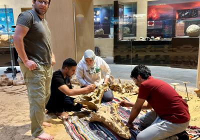 Wadi El-Hitan Nov-(2)-2025