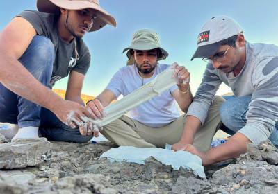 Wadi El-Hitan Nov-(2)-2025