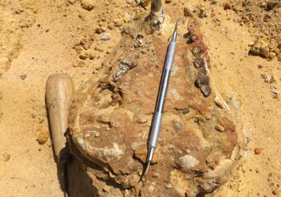 Jebel Qatrani, Apr-2020