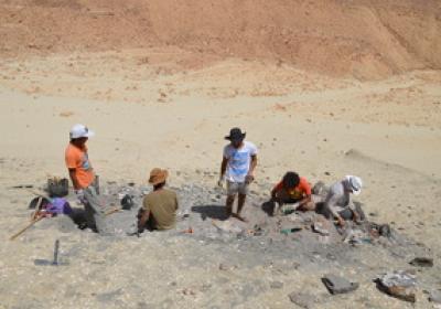 Eastern Desert, Jul-2021