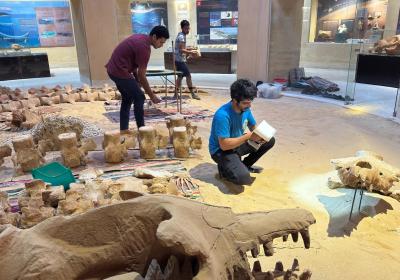 Wadi Al-Hitan   Jun-2025
