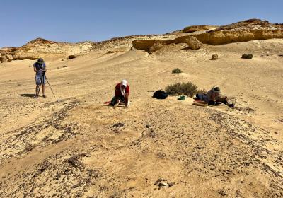 Western Desert May-2024