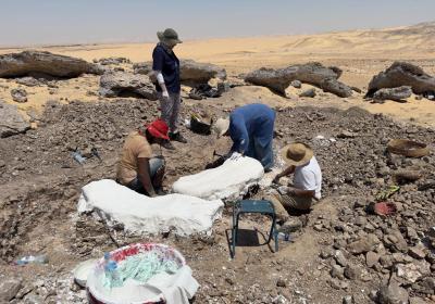 Eastern Desert Western Desert Jul 2024 5