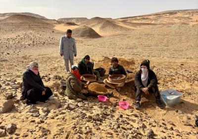 Bahariya Oasis Dec-(1)-2024