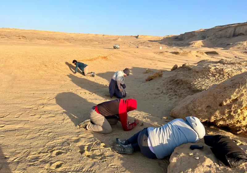 Jebel Qatrani Dec 2023 1