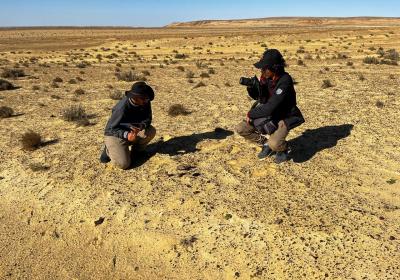 Western Desert Jan-(2)-2023