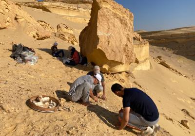 Wadi El Hetan Sep 32022