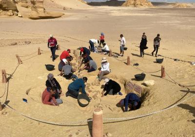 Wadi El-Hetan Mar-2021