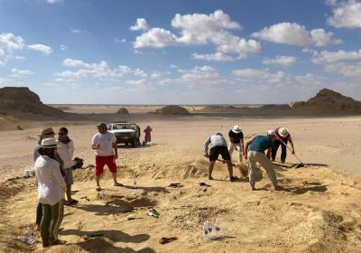 Wadi El-Hetan oct-2021