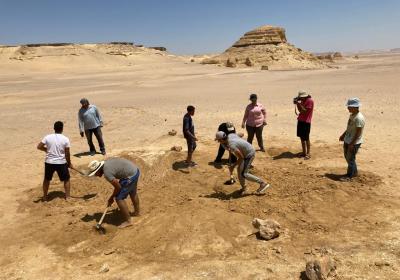 Wadi El-Hetan May-2021