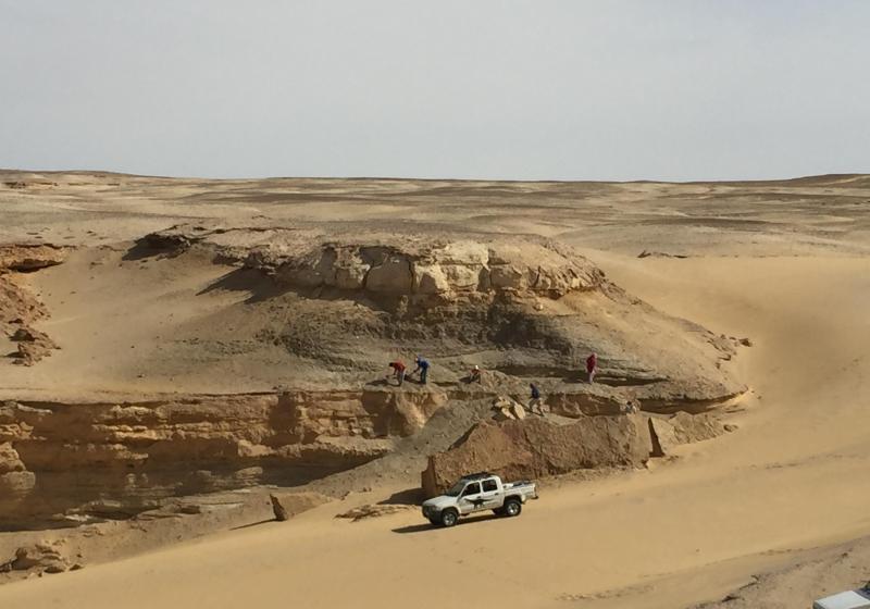 Wadi El Hetan Jun 2 2020 3