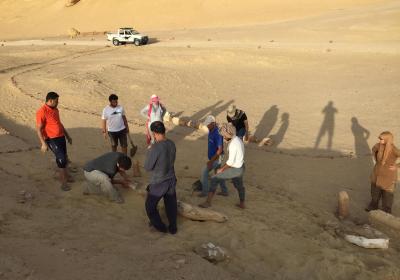 Wadi El Hetan Jun 2020 1