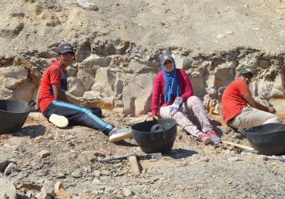 Eastern Desert Jul-(1)-2019