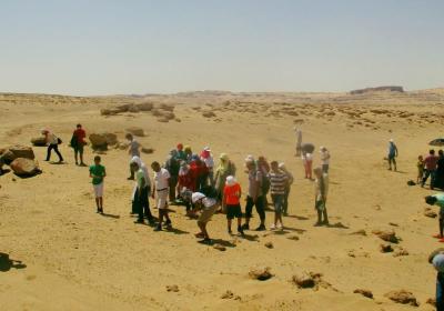 Petrified Forest Fayum Jul-(2)-2019
