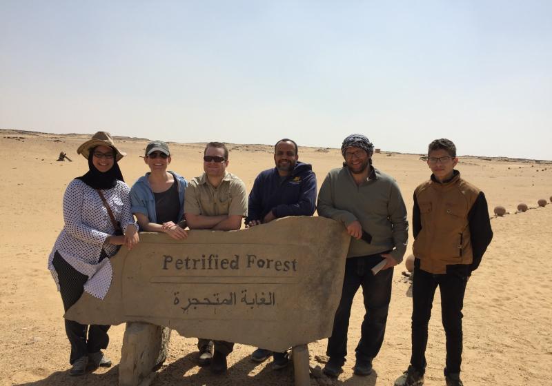 Petrified Forest Fayum Mar 2019 1