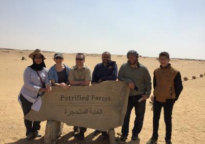 Petrified Forest Fayum Mar-2019