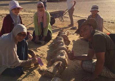 Wadi Al-Hitan Jul-(1)-2018